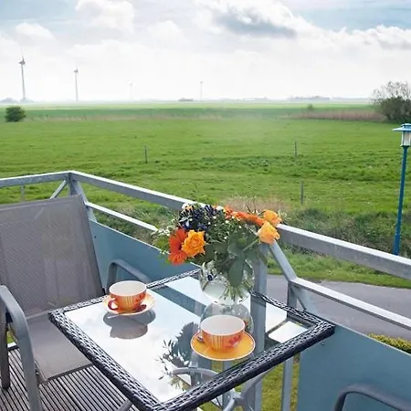 Nordseekrabbe * Neuharlingersiel